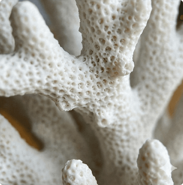 Декор настольный Коралл view 4