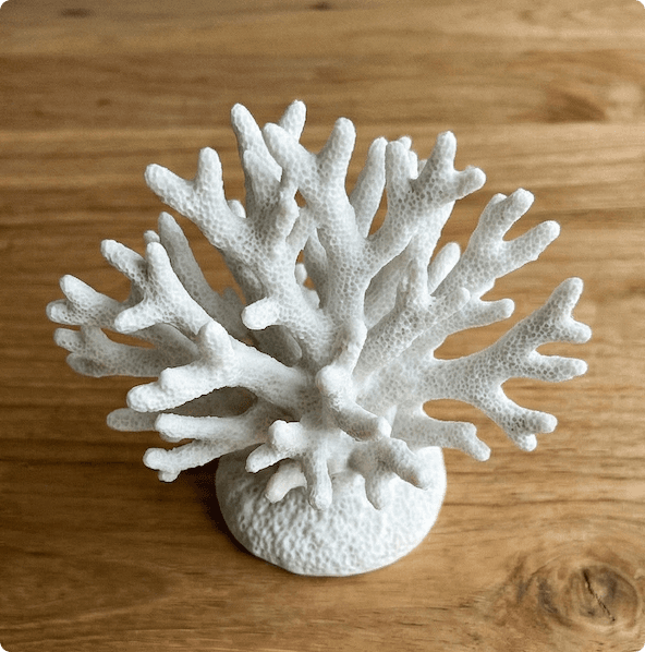 Декор настольный Коралл view 3