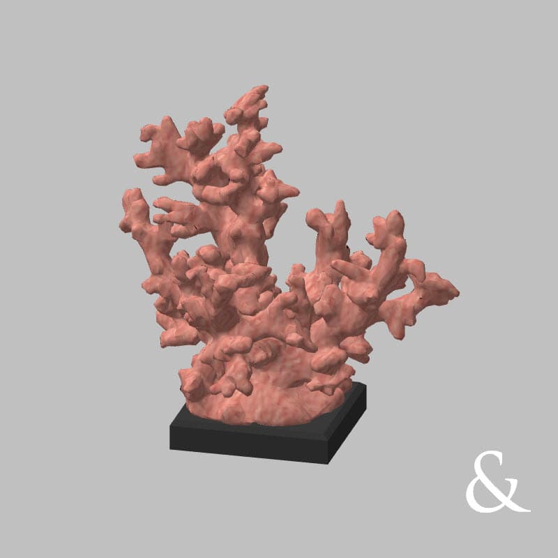 Декор настольный Коралл