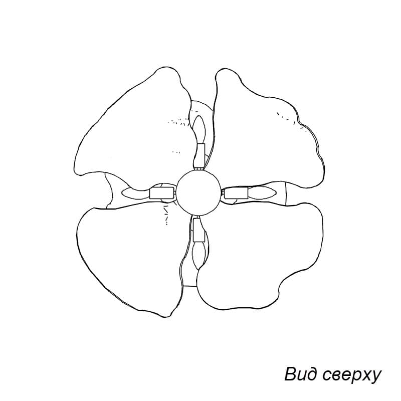 Подвесная люстра ASPASIA C12 view 2